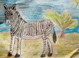 Zebre(crayons couleur)