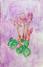  Cyclamen(craie aquarelle)