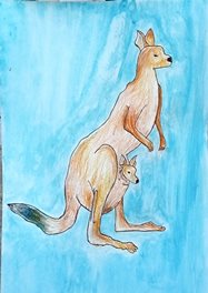  Kangourou(craies aquarelle)