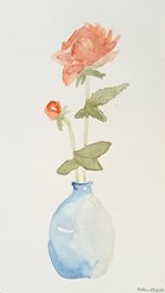 Vase(Aquarelle)
