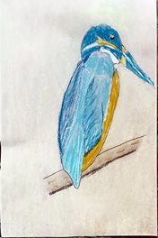  Oiseau(pastel sec)